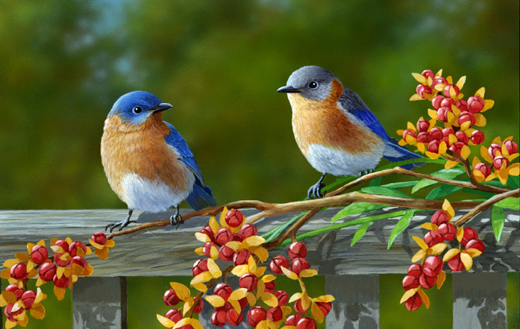 Manipal Bird 2